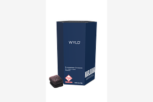 Elderberry Gummies by Wyld