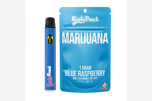 Kushy Punch - Disposable Vape - Blue Raspberry - 1g by Kushy Punch