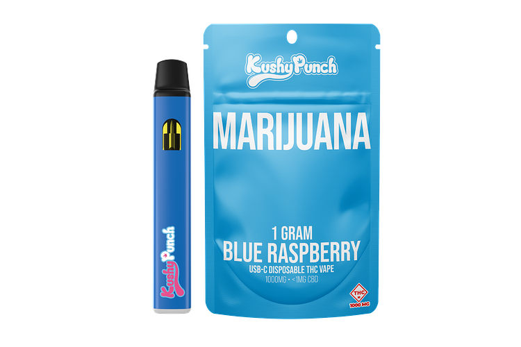 Kushy Punch - Disposable Vape - Blue Raspberry - 1g by Kushy Punch