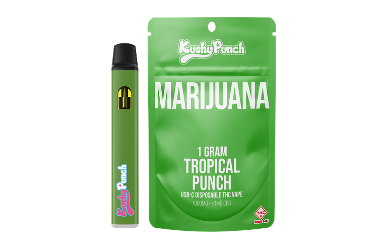 Kushy Punch - Disposable Vape - Tropical Punch - 1g by Kushy Punch