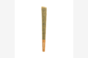Vivid - Pre-Roll - Florida Kush - Hybrid - [1g] by Vivid