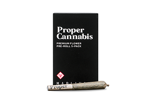 Proper Cannabis - Pre-rolls - Interstellar ARC x Sunny D X Star Dawg - Hybrid - [2.5g] Multipack by Proper Cannabis