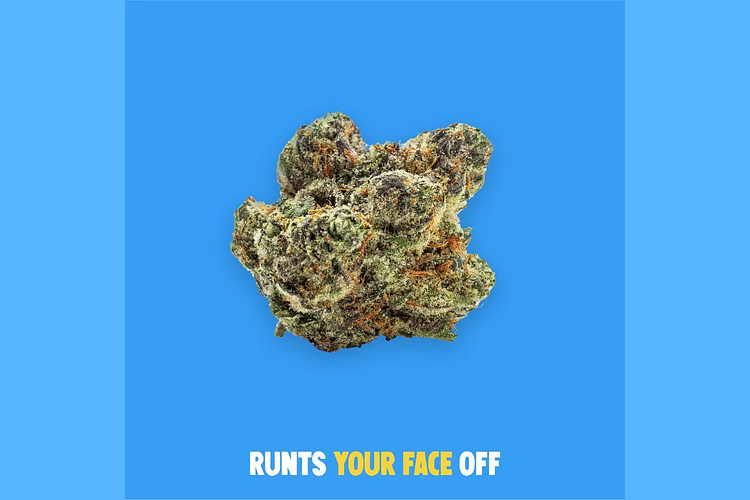 Buoyant Bob - Prepack - Runtz Your Face Off - [7g] by Buoyant Bob