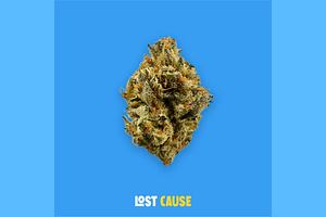 Buoyant Bob - Prepack - Lost Cause - [7g] by Buoyant Bob