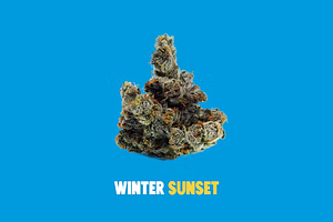 Buoyant Bob - Prepack - Winter Sunset #4 - [3.5g] by Buoyant Bob