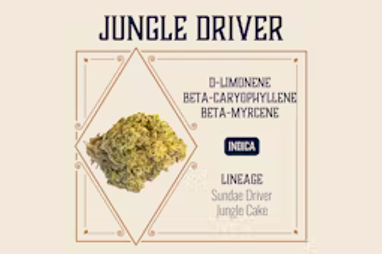 Elevate Missouri - Prepack - Jungle Driver - [3.5g] by Elevate Missouri