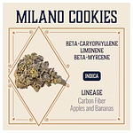 Elevate Missouri - Prepack - Milano Cookies - [3.5g] by Elevate Missouri