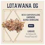 Elevate Missouri - Prepack - Lotawana OG - Hybrid - [3.5g] by Elevate Missouri