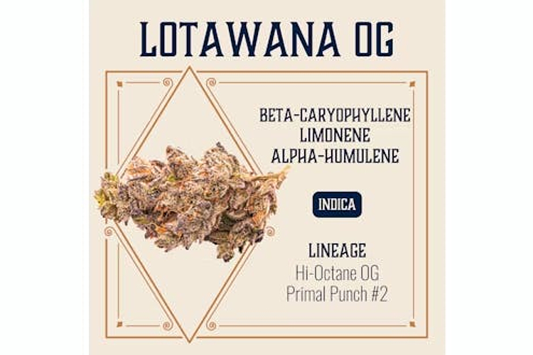 Elevate Missouri - Prepack - Lotawana OG - Hybrid - [3.5g] by Elevate Missouri