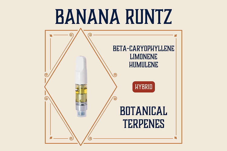 Elevate - Vape Cart - Banana Runtz - Hybrid - [1g] by Elevate Missouri