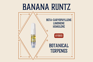 Elevate - Vape Cart - Banana Runtz - Hybrid - [1g] by Elevate Missouri