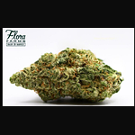 Flora Farms - Prepack - Garlic Stash - [14g] by Flora Farms