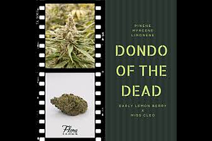 Flora Farms - Prepack - Dondo of the Dead - [14g] by Flora Farms