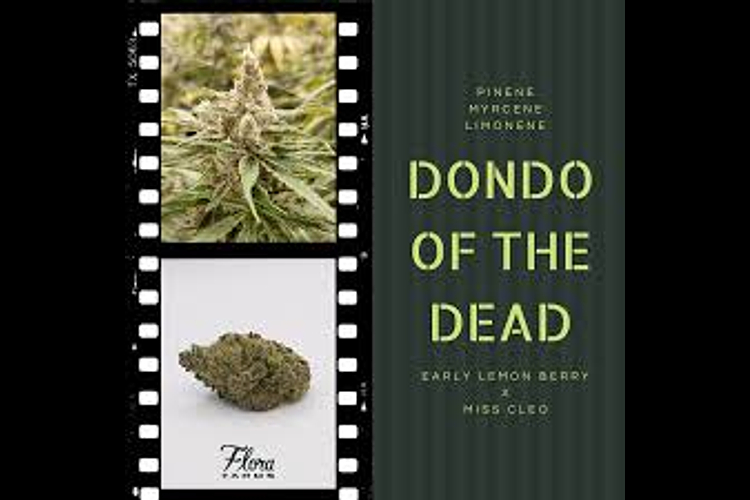 Flora Farms - Prepack - Dondo of the Dead - [14g] by Flora Farms