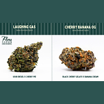 Flora Farms - Prepack - Laughing Gas - [14g] by Flora Farms