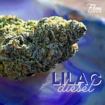 Flora Farms - Prepack - Lilac Diesel - [14g] by Flora Farms