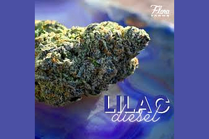 Flora Farms - Prepack - Lilac Diesel - [14g] by Flora Farms