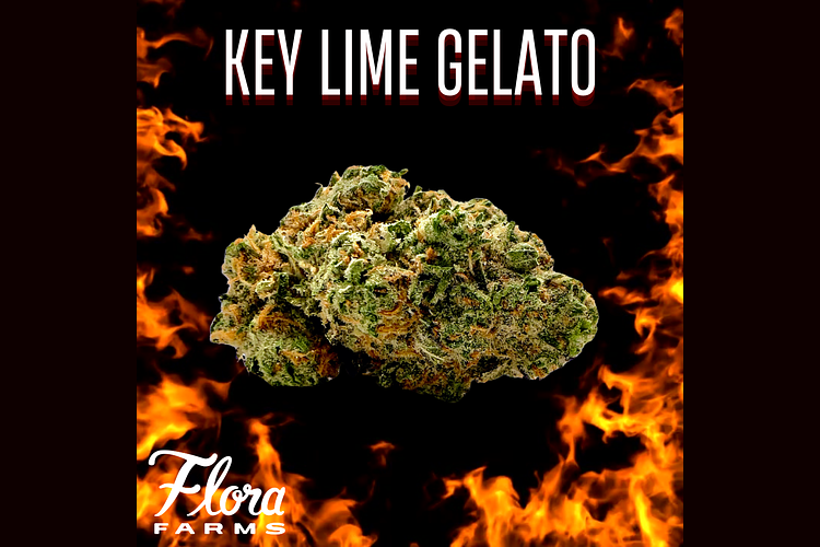 Flora Farms - Prepack - Key Lime Gelato - Hybrid - [7g] by Flora Farms