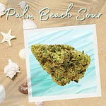 Flora Farms - Prepack - Palm Beach Sour - [7g] by Flora Farms