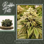 Flora Farms - Prepack - Bubba Fett - [14g] by Flora Farms