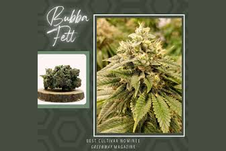 Flora Farms - Prepack - Bubba Fett - [14g] by Flora Farms