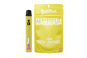 Kushy Punch - Disposable Vape - Fresh Lemonade - 1g by Kushy Punch