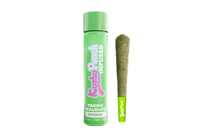 Kushy Punch - Infused Pre-Roll - Tropic Jealousy - 1g by Kushy Punch