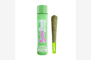Kushy Punch - Infused Pre-Roll - Tropic Jealousy - 1g by Kushy Punch