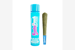 Kushy Punch - Infused Pre-Roll - Blue Razz Gushers - 1g by Kushy Punch