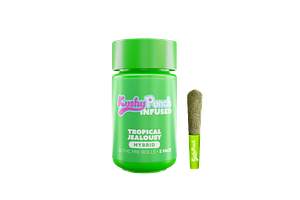 Kushy Punch - Infused Pre-Roll 5-Pack - Tropic Jealousy - 2.5g by Kushy Punch