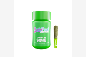 Kushy Punch - Infused Pre-Roll 5-Pack - Tropic Jealousy - 2.5g by Kushy Punch