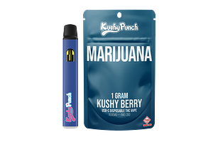 Kushy Punch - Disposable Vape - Kushy Berry - 1g by Kushy Punch