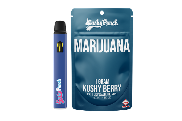 Kushy Punch - Disposable Vape - Kushy Berry - 1g by Kushy Punch