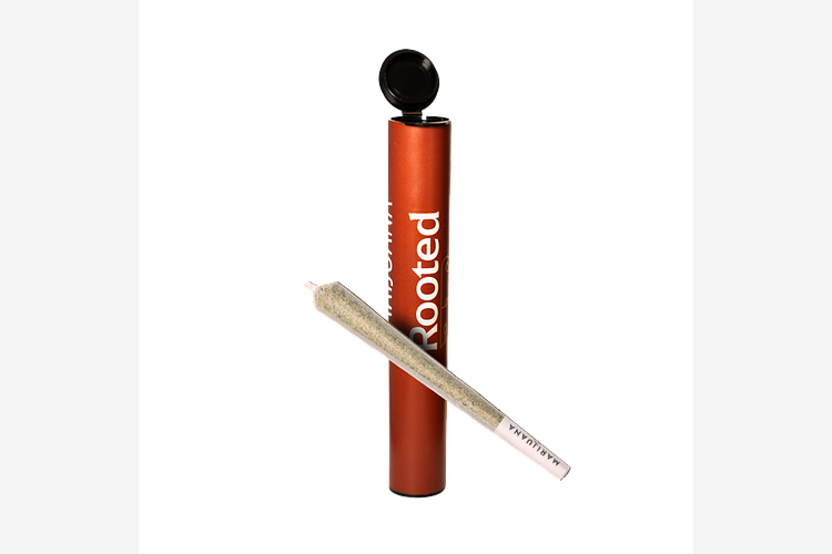 Rooted - Pre-Roll - Jasmine Thai - [1g] by Rooted