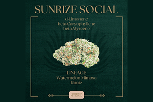 Peak Cannabis - Sunrize Social - [3.5g] by Peak