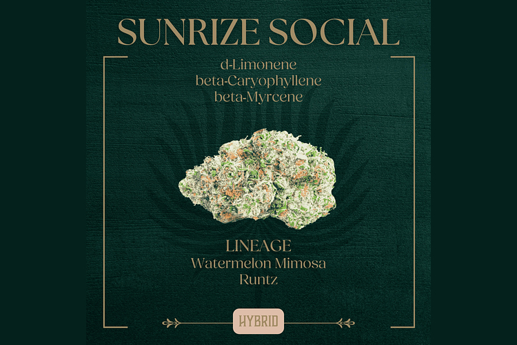 Peak Cannabis - Sunrize Social - [3.5g] by Peak