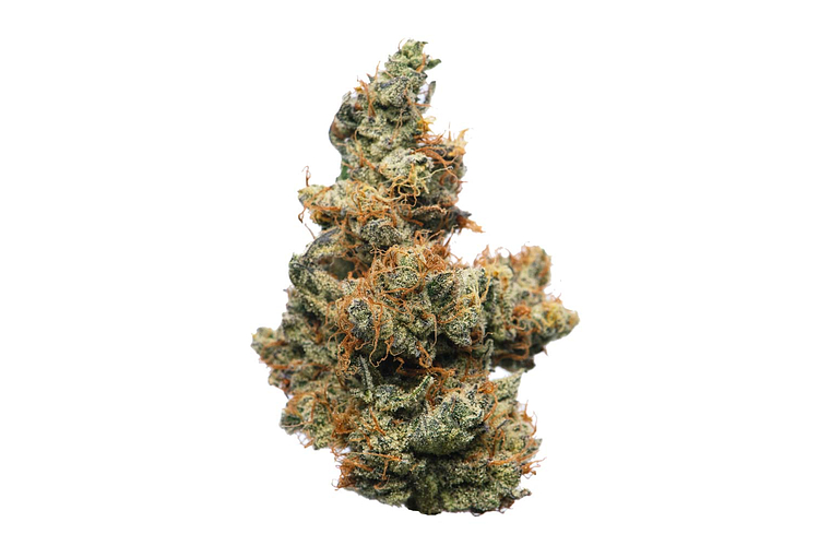 Proper Cannabis - Prepack - Ecto Cookies - 28g by Proper Cannabis