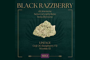 Peak Cannabis - Prepack - Black Razzberry - [3.5g] by Peak