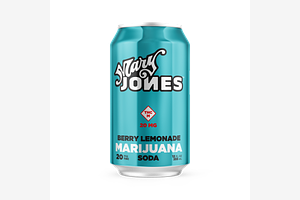 Berry Lemonade Soda by Mary Jones