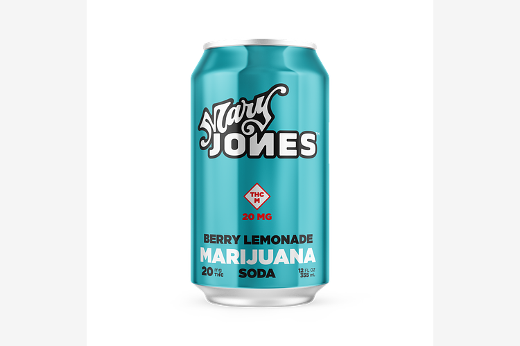 Berry Lemonade Soda by Mary Jones