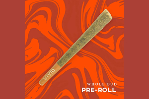 Vivid - Pre-Roll 5-Pack - Trop Cherry - [1g] by Vivid