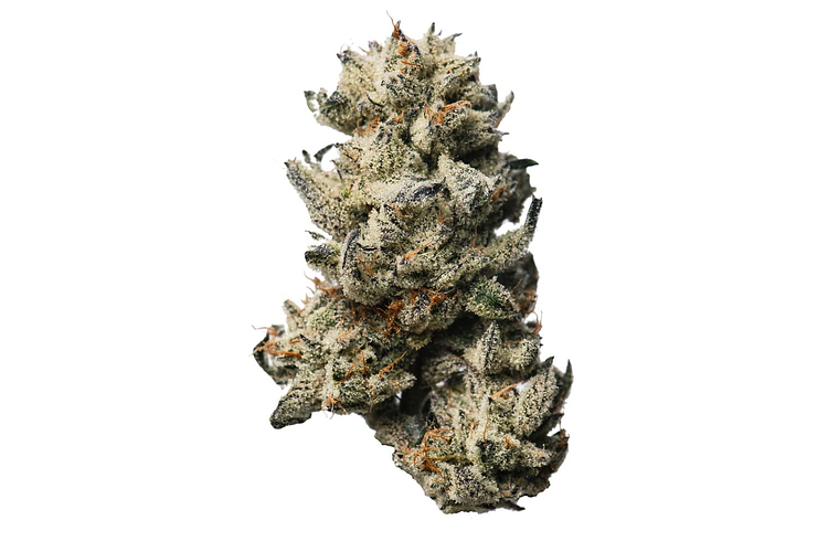 Proper Cannabis - Prepack - Oreoz - Hybrid - [3.5g] by Proper Cannabis